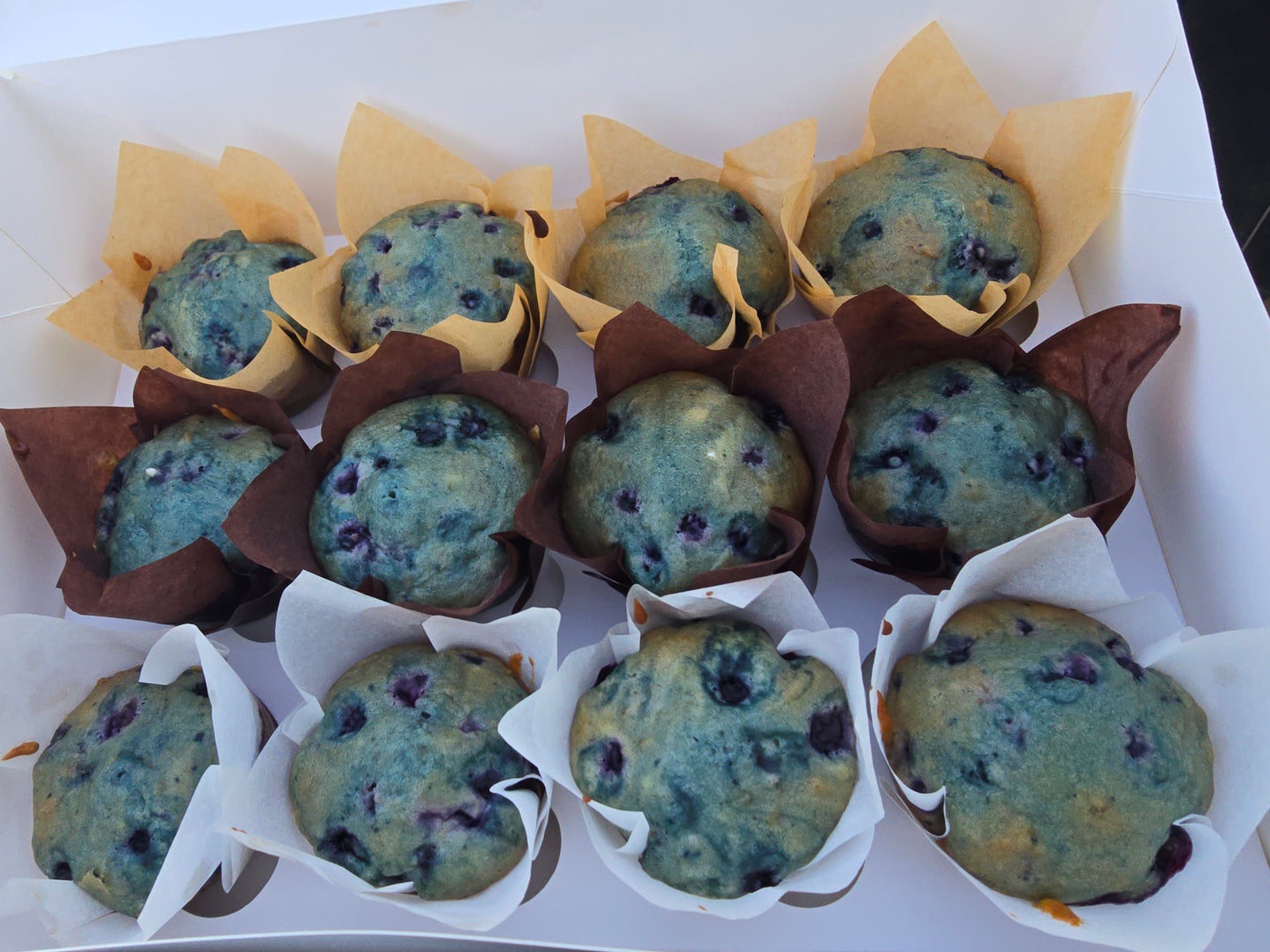 Blueberry Muffins